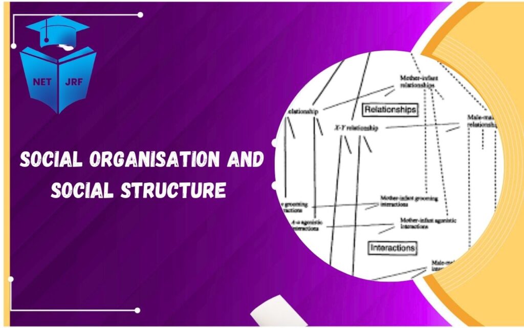 Social Organisation