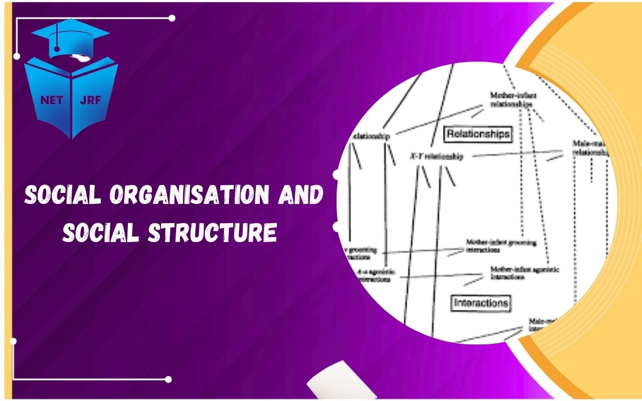 Read more about the article Social Organisation and Social Structure in Medieval India